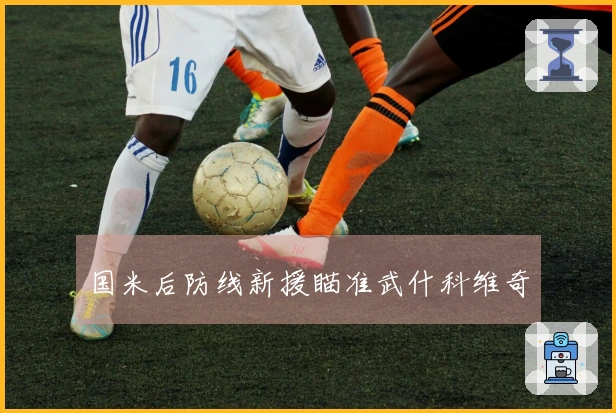 国米后防线新援瞄准武什科维奇