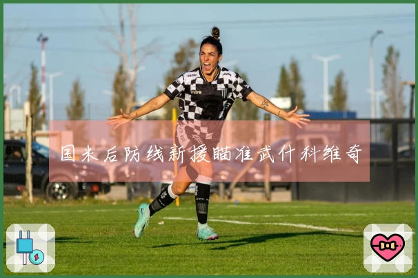 国米后防线新援瞄准武什科维奇